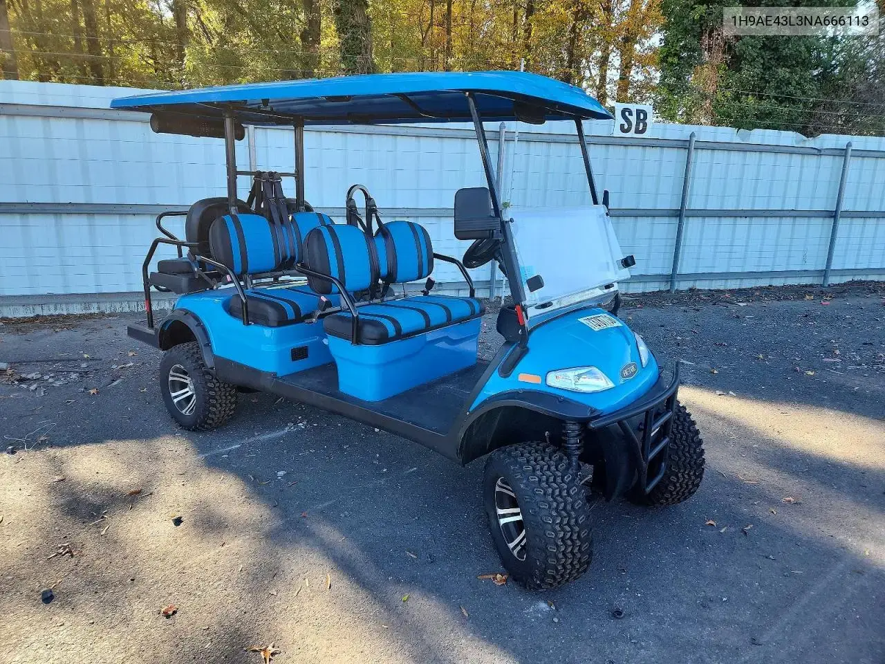 2022 Golf Cart Golf Cart