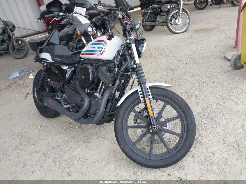 2021 Harley-Davidson Xl1200 Ns