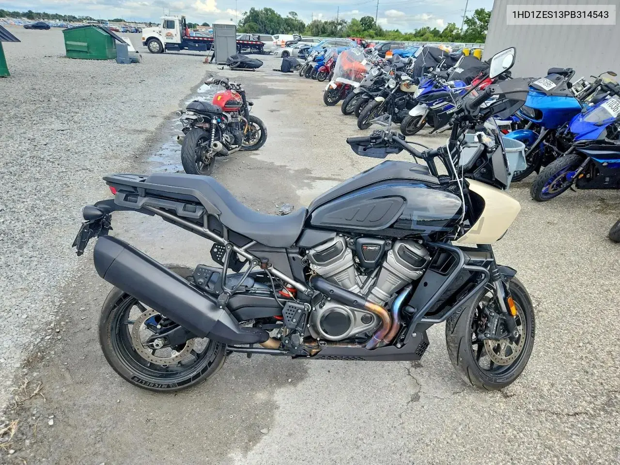 2023 Harley-Davidson Ra1250
