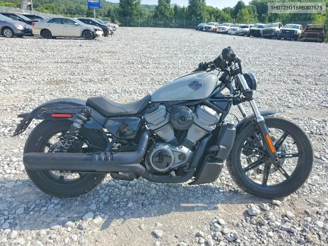 2024 Harley-Davidson Rh975
