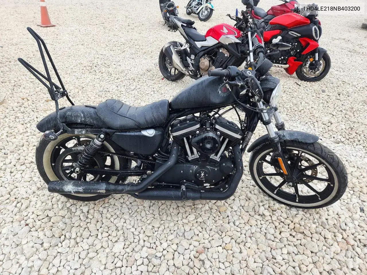 2022 Harley-Davidson Xl883 N