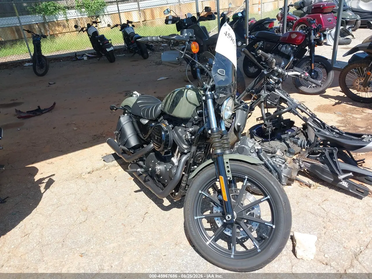 2021 Harley-Davidson Xl883 N