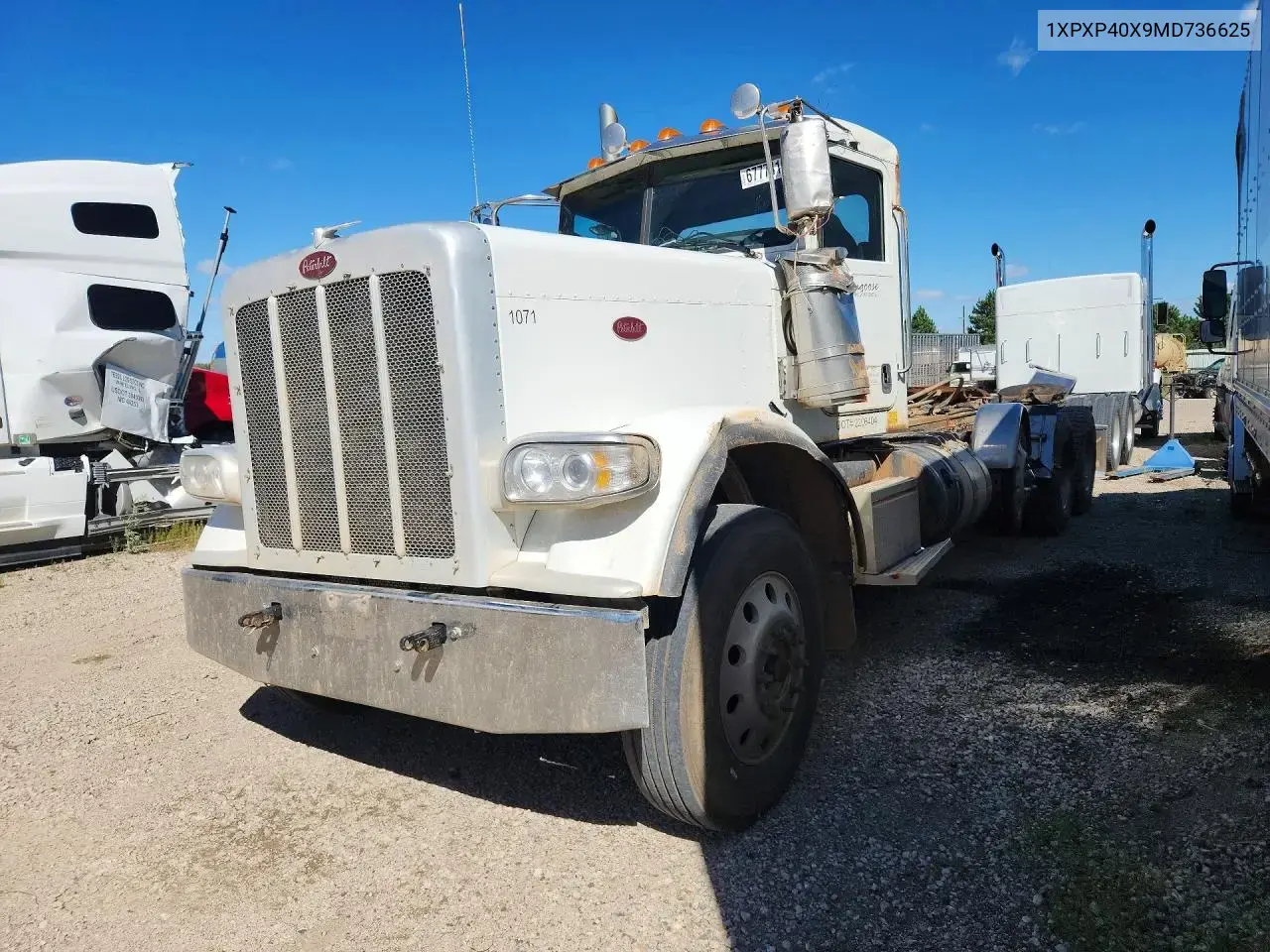 2021 Peterbilt 389
