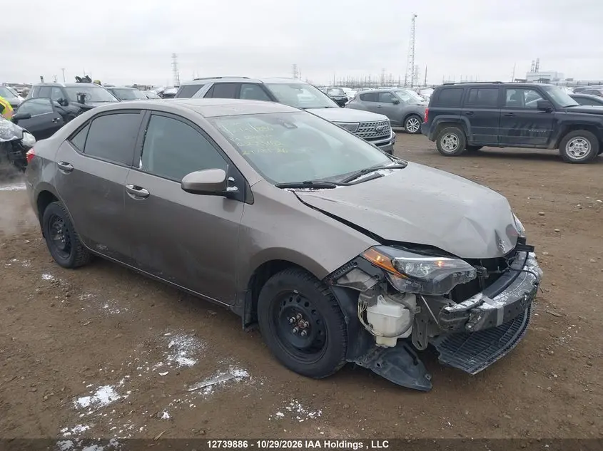 2019 Toyota Corolla L/Le/Xle/Se/Xse