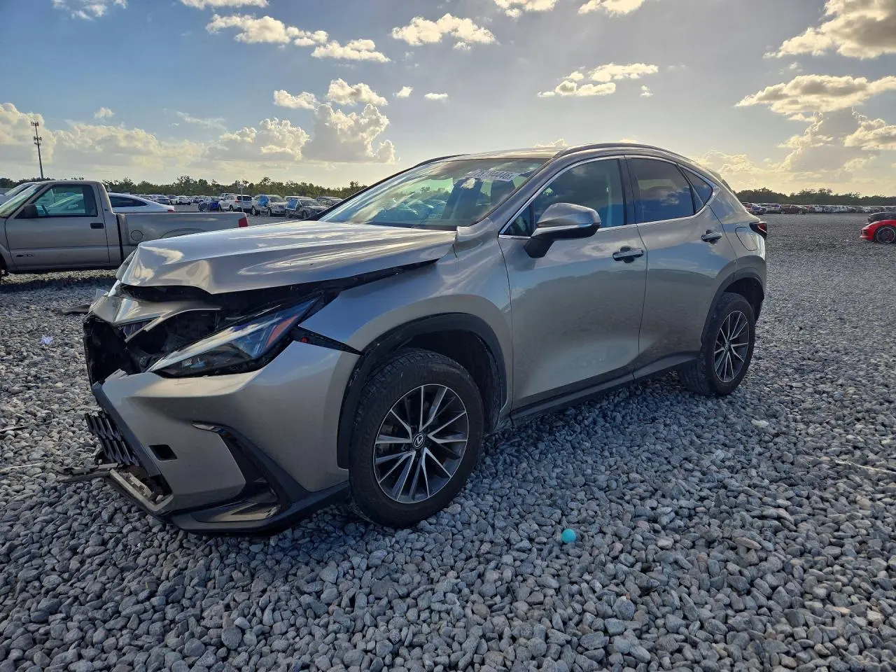 2024 Lexus NX 250 Base