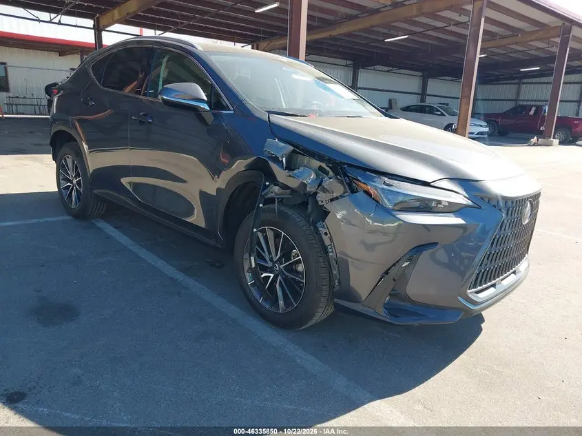 2025 Lexus NX 250