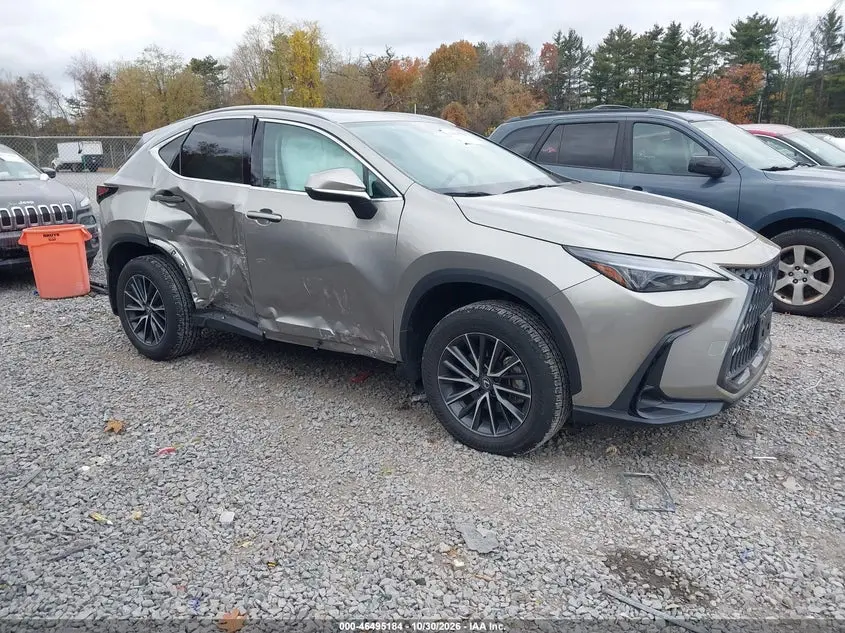 2024 Lexus NX 250