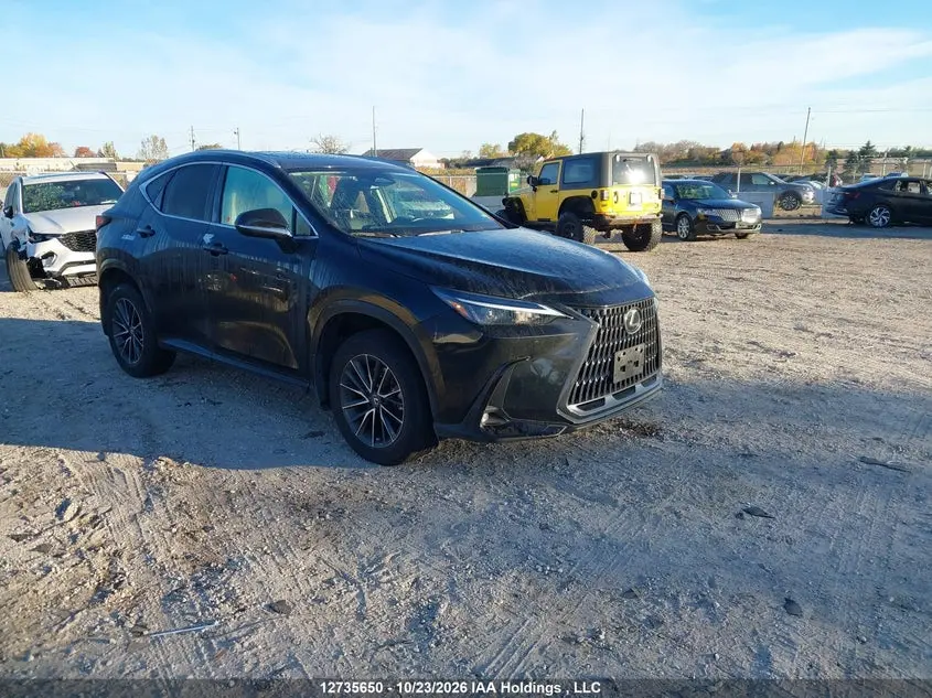2025 Lexus NX 350 Premium