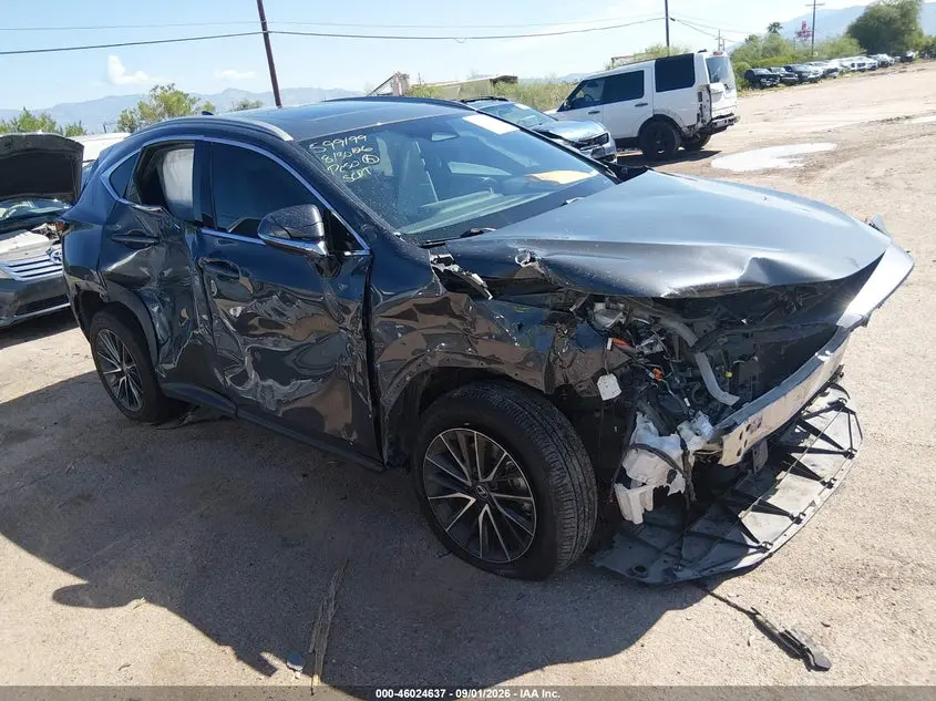 2024 Lexus NX 350 Premium