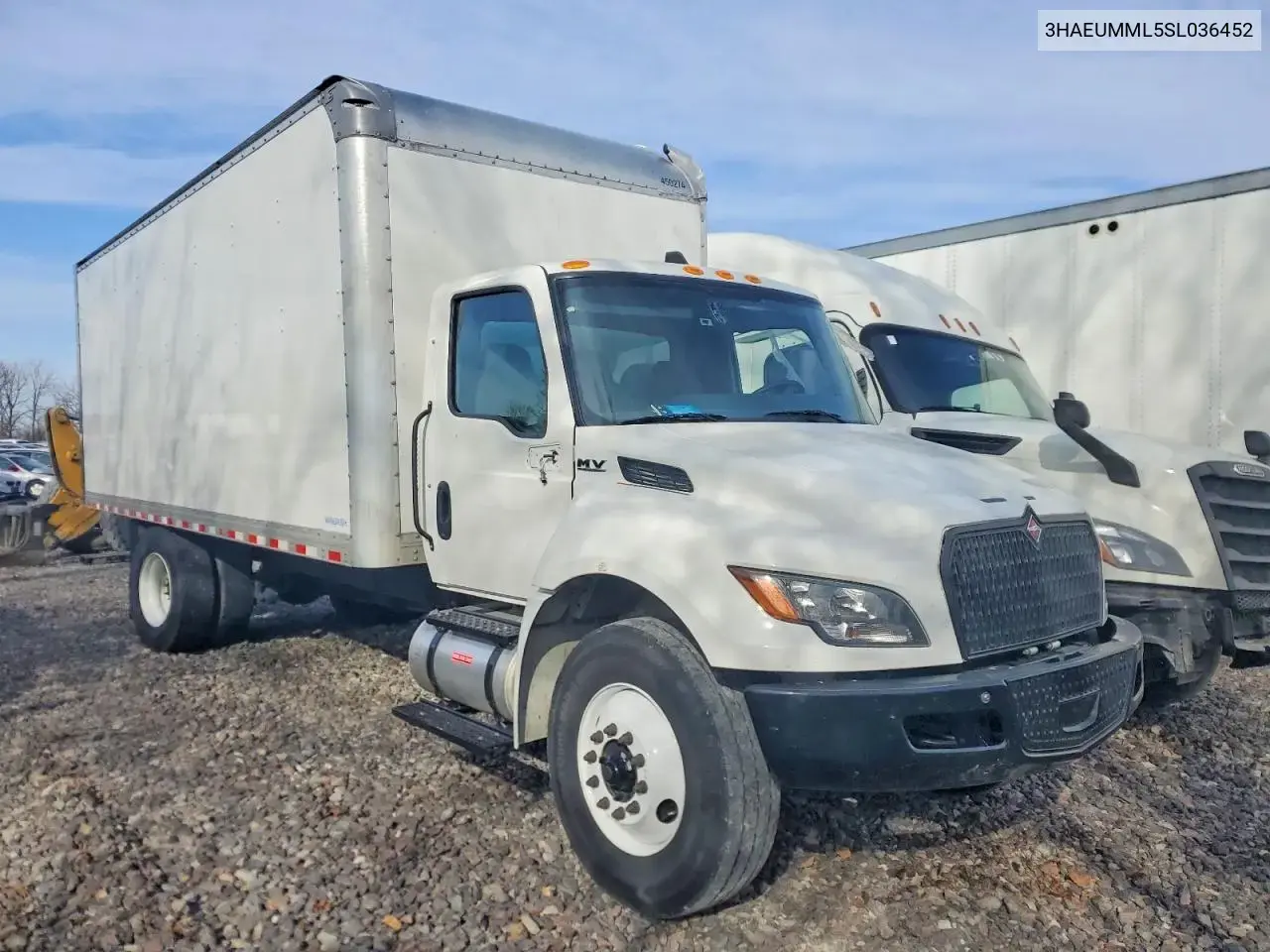 2025 International Mv607 Box Truck