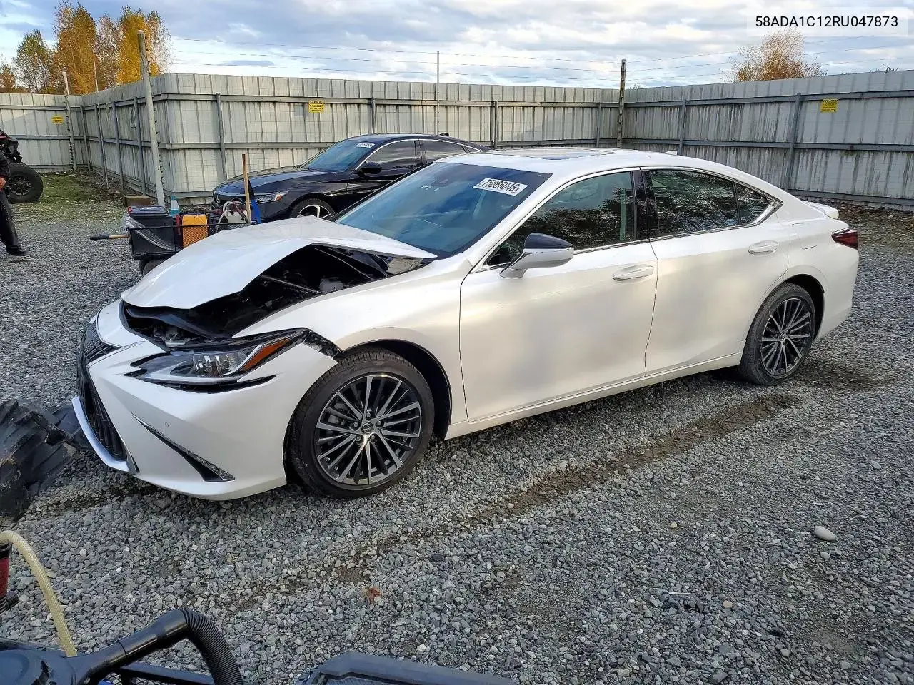2024 Lexus ES 300h Base