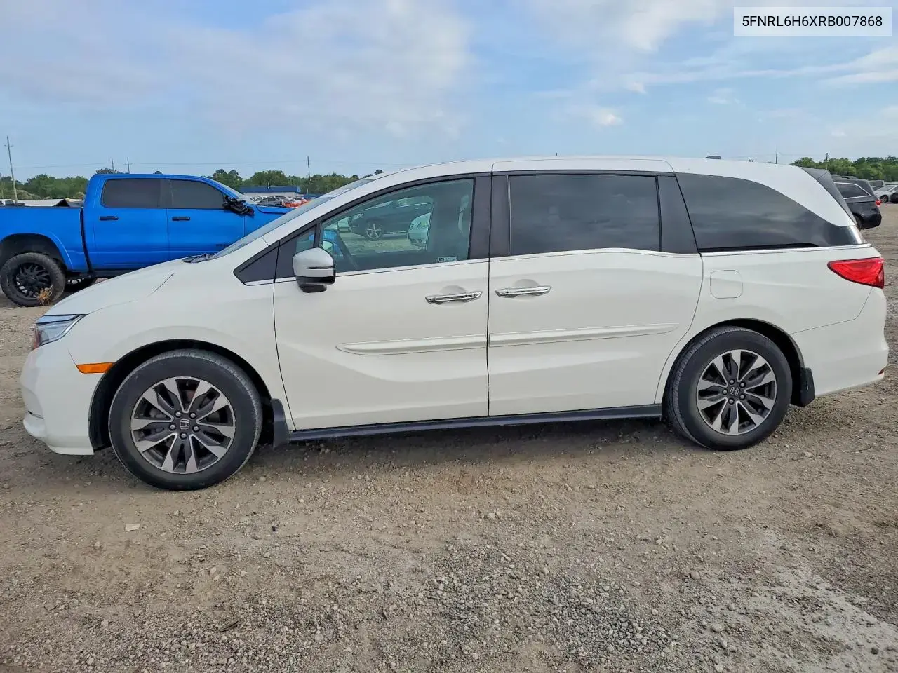 2024 Honda Odyssey EXL