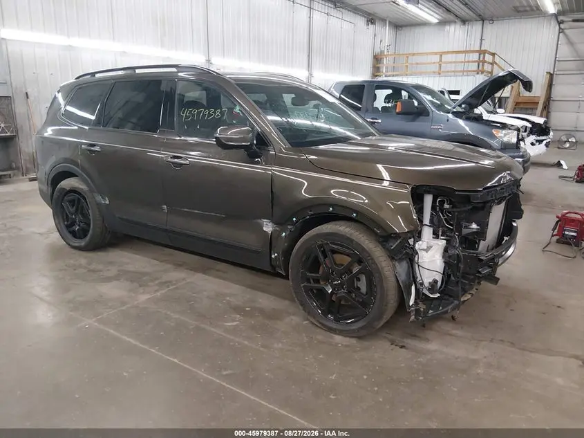 2024 Kia Telluride Sx X-Line