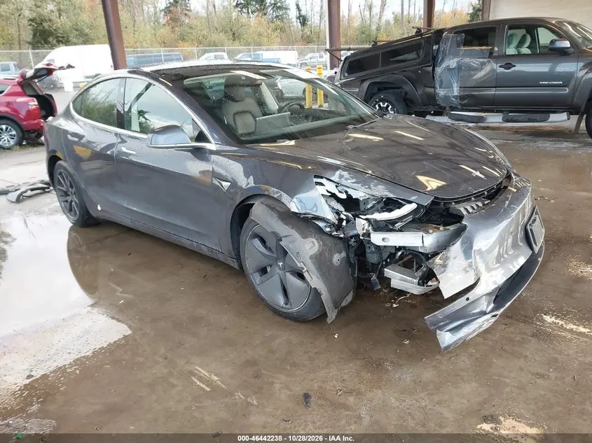 2020 Tesla Model 3 Standard Range Plus Rear-Wheel Drive/Standard Range Rear-Wheel Drive
