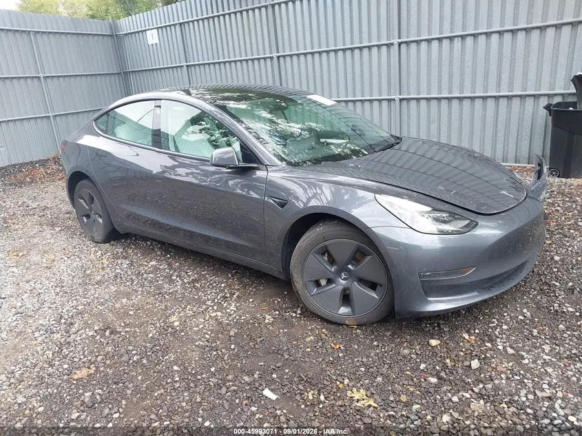 2023 Tesla Model 3 Rear-Wheel Drive