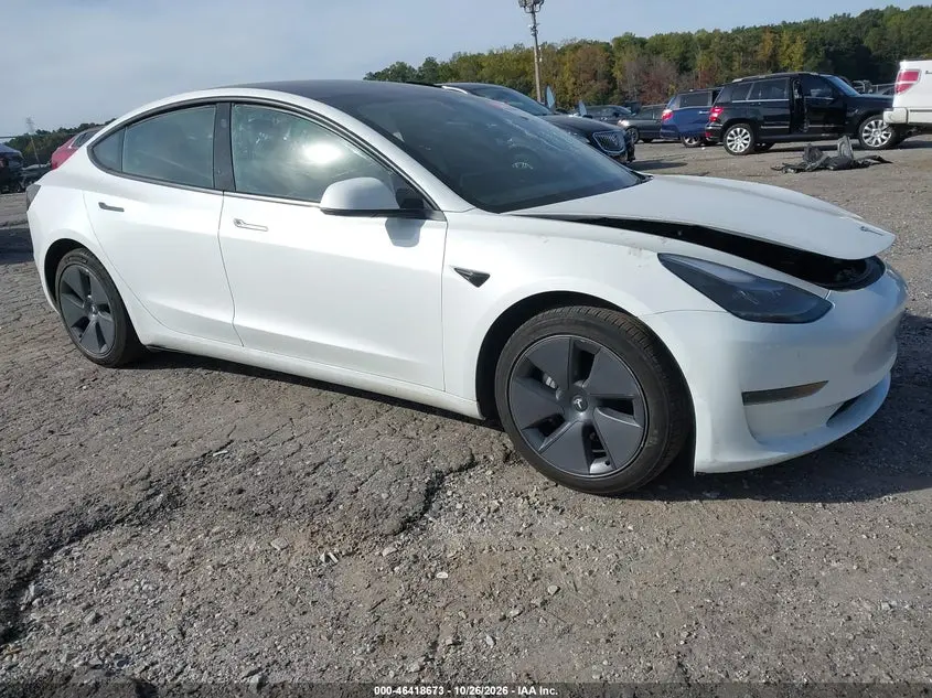 2023 Tesla Model 3 Rear-Wheel Drive