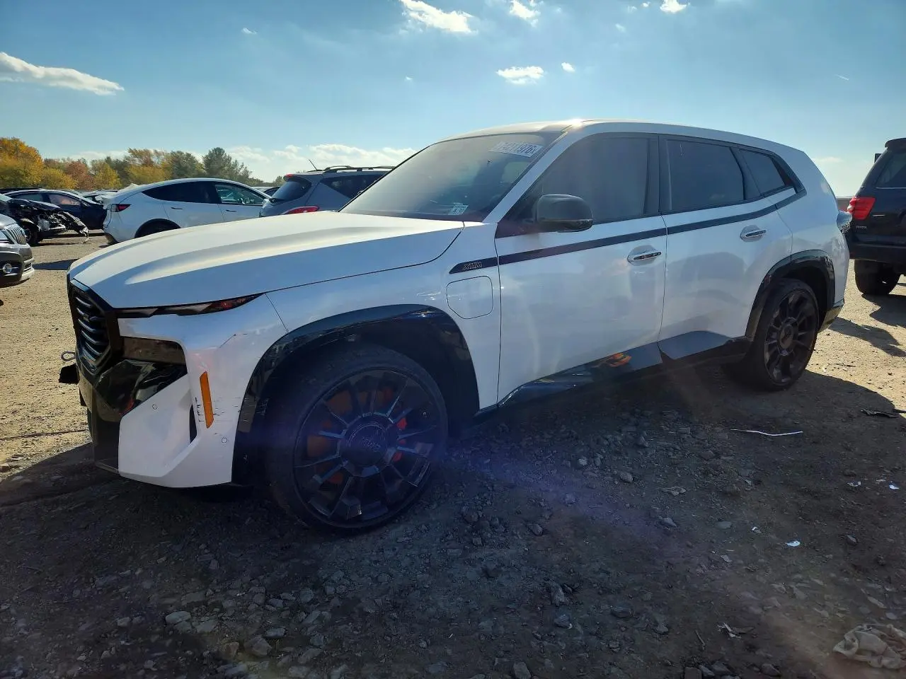 2025 BMW XM