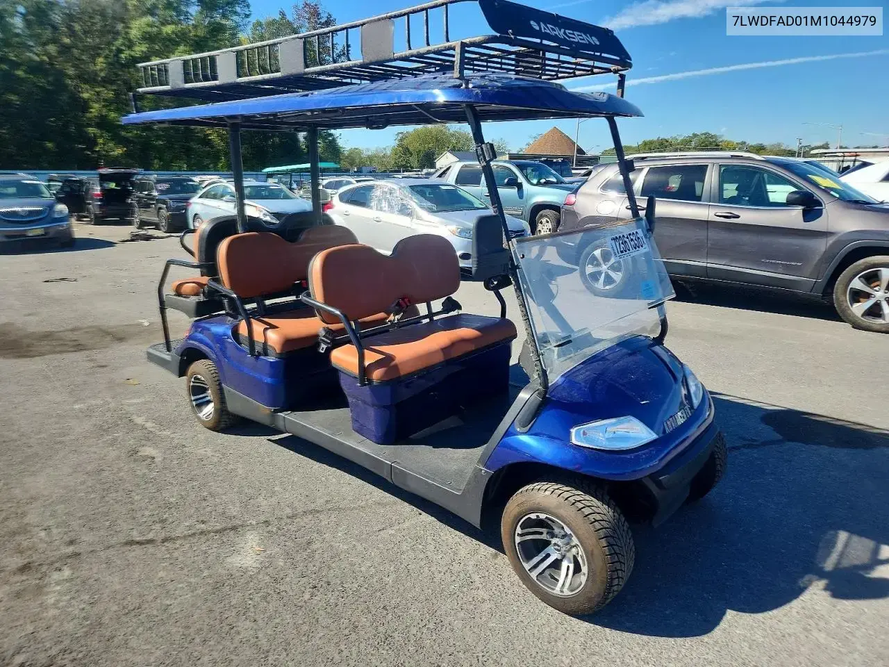 2021 Advanced EV Low Speed Car Golf Cart