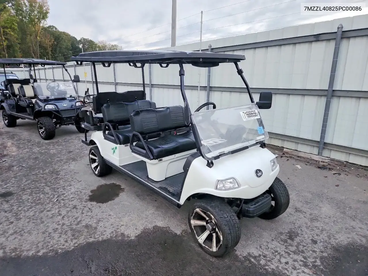 2023 Golf Cart Evolution Carrier