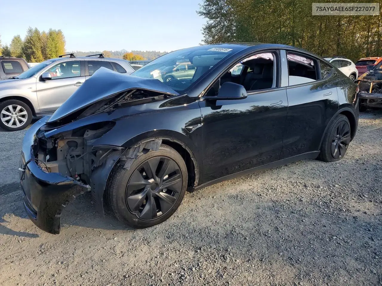 2025 Tesla Model Y