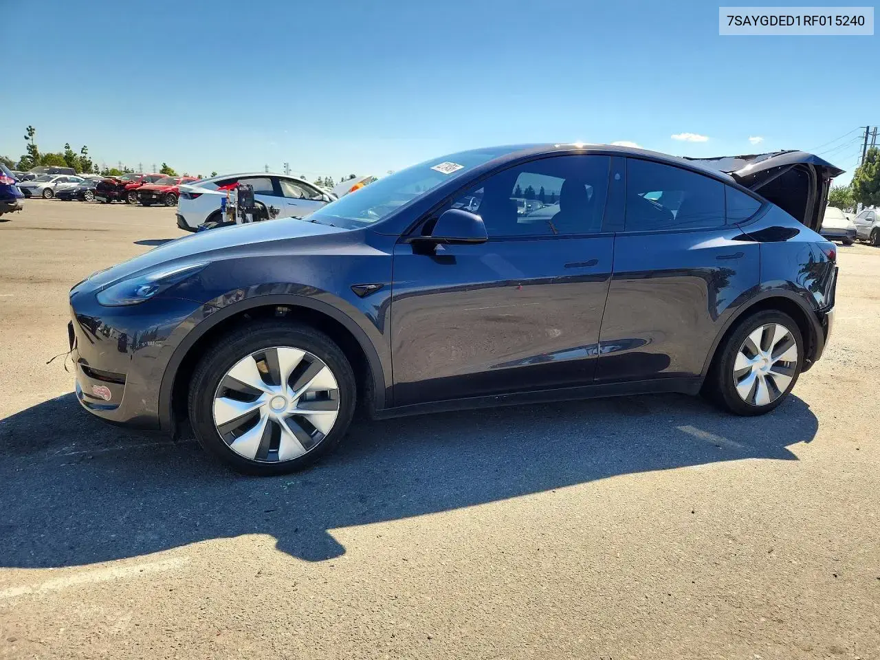 2024 Tesla Model Y