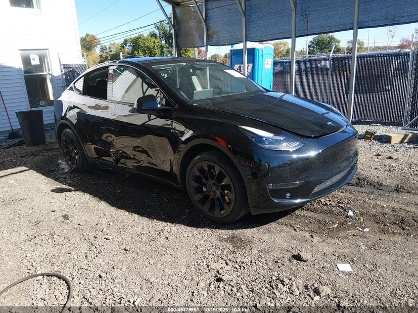 2023 Tesla Model Y RWD
