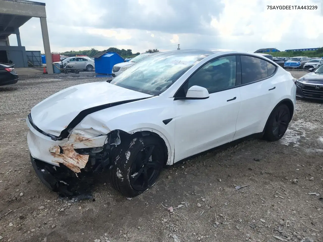 2026 Tesla Model Y