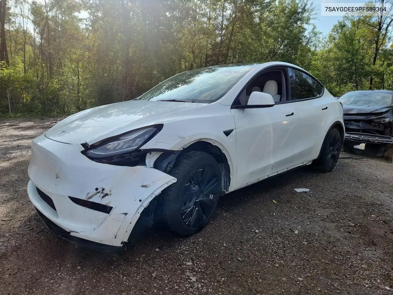 2023 Tesla Mdl Y