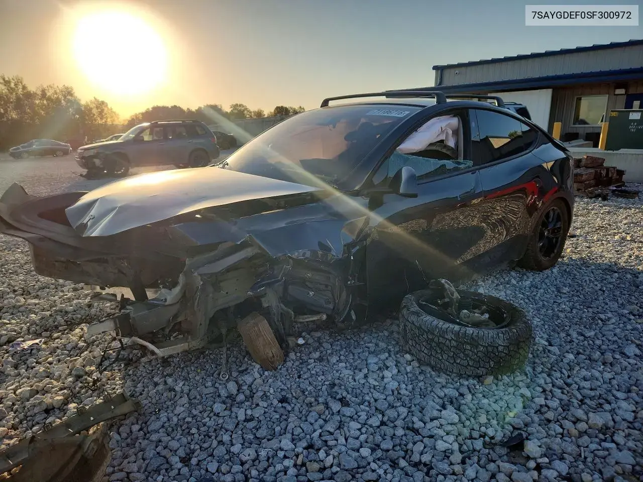 2025 Tesla Model Y