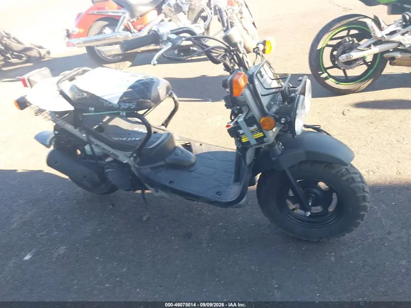 2022 Honda Nps50