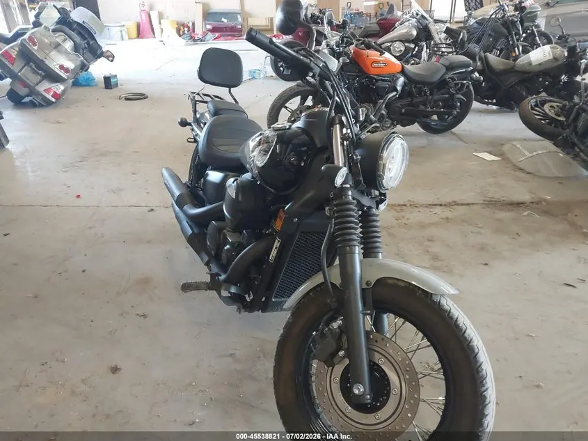 2024 Honda Vt750 C2B