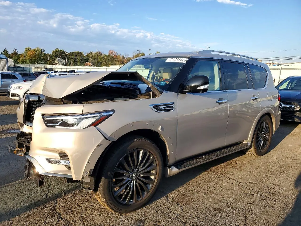 2022 Infiniti QX80 Premium Select