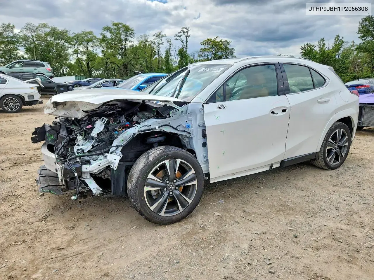 2023 Lexus UX 250h Premium