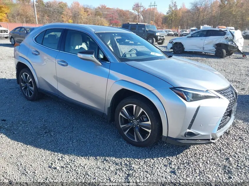 2024 Lexus UX 250h Premium