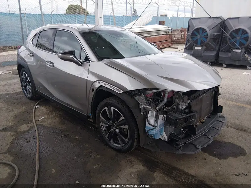 2019 Lexus UX 250h