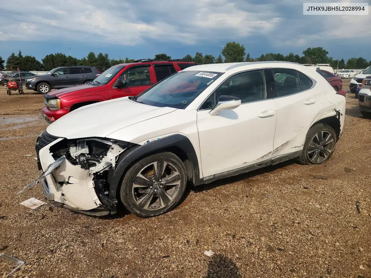2020 Lexus UX 250h