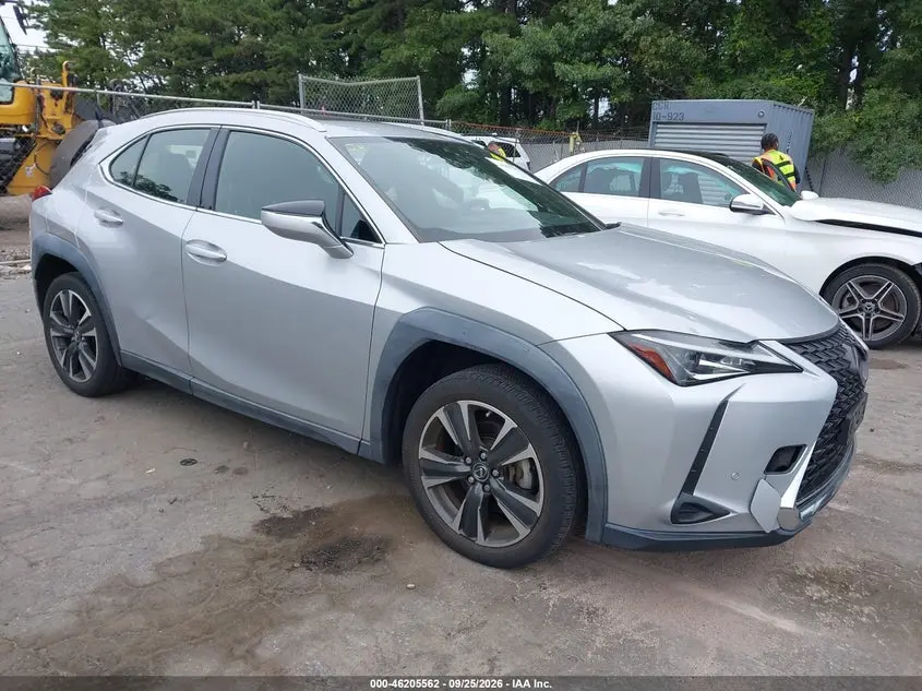 2019 Lexus UX 200