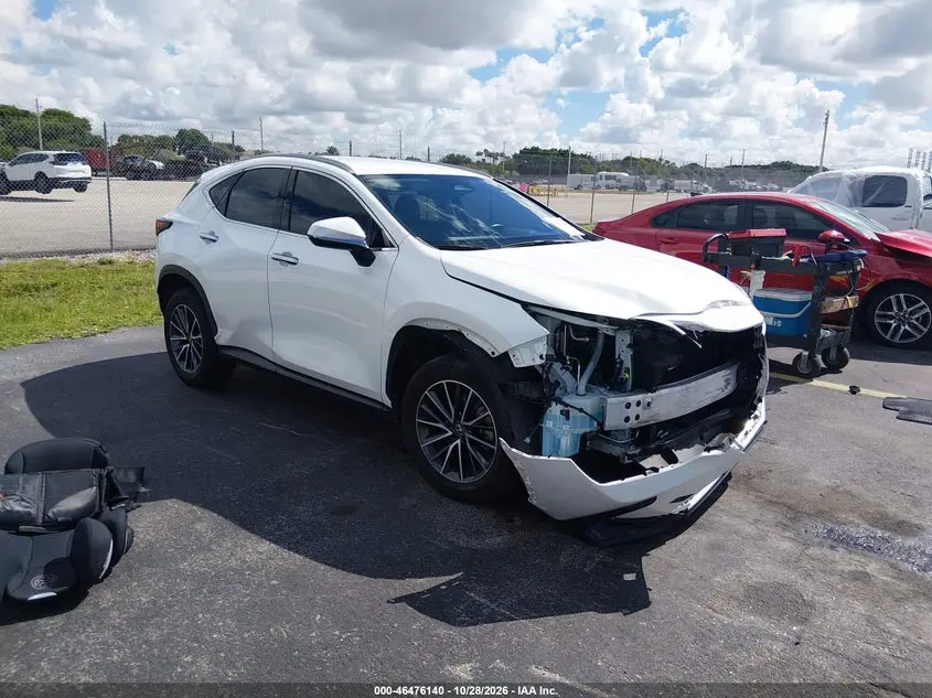 2024 Lexus NX 250