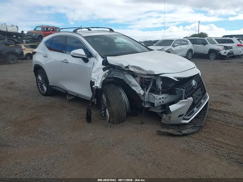 2025 Lexus NX 350h Premium