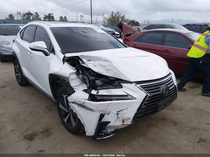 2019 Lexus NX 300