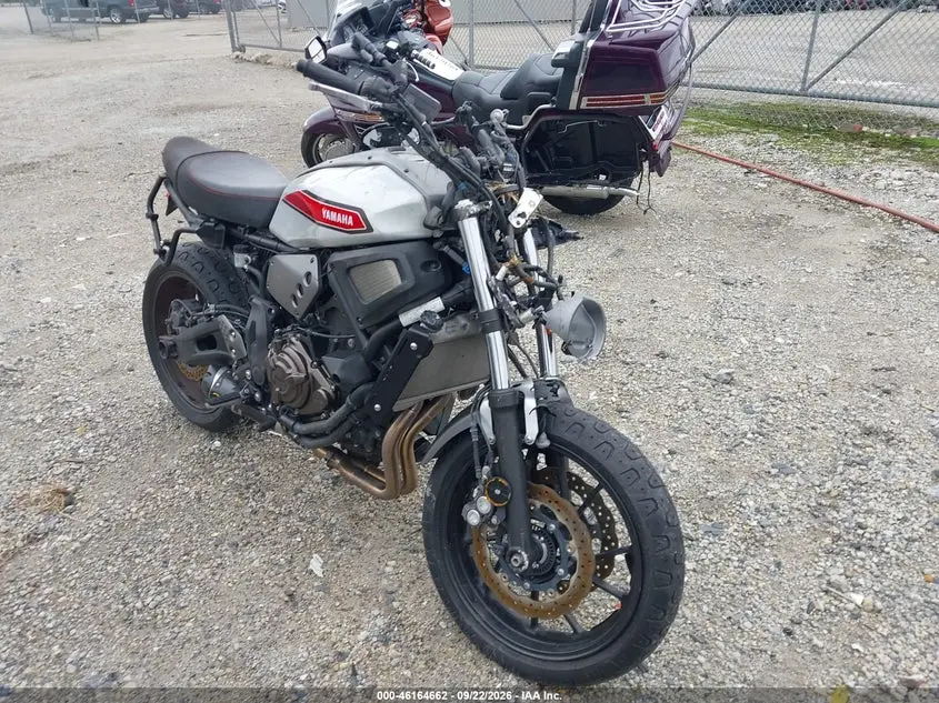 2019 Yamaha Xsr700