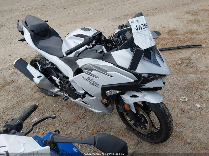 2025 Kawasaki Ex500