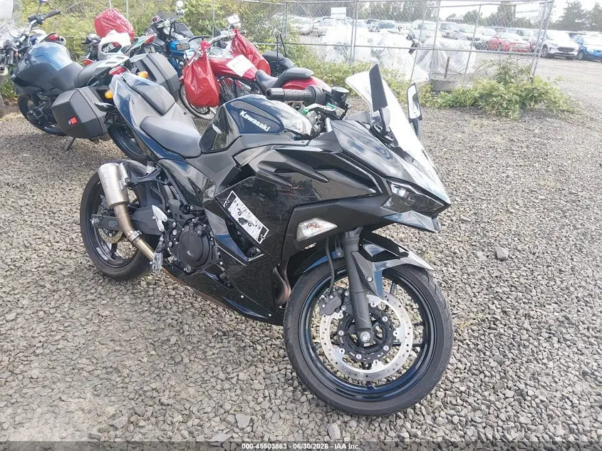 2024 Kawasaki Ex500 H