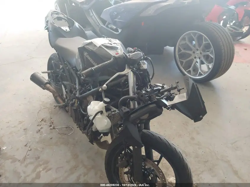 2025 Kawasaki Ex500 A/B