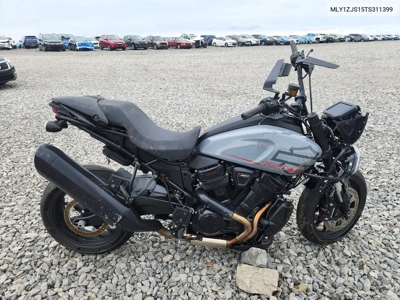 2026 Harley-Davidson Ra1250 ST