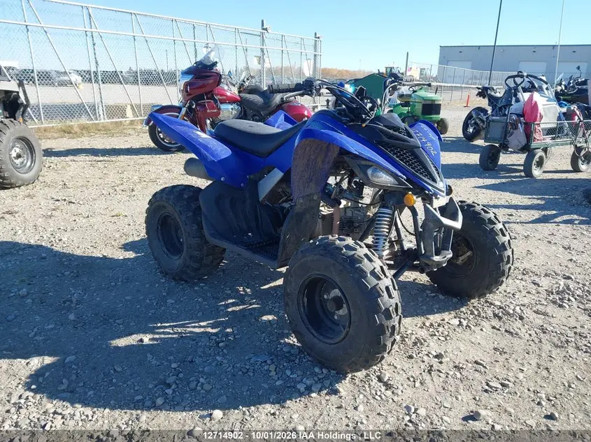 2025 Yamaha Yfm110