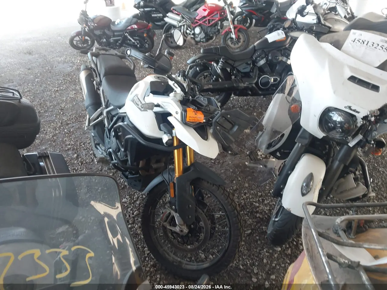 2023 Triumph Motorcycle Tiger 900 Rally Pro/900 Bond Edition