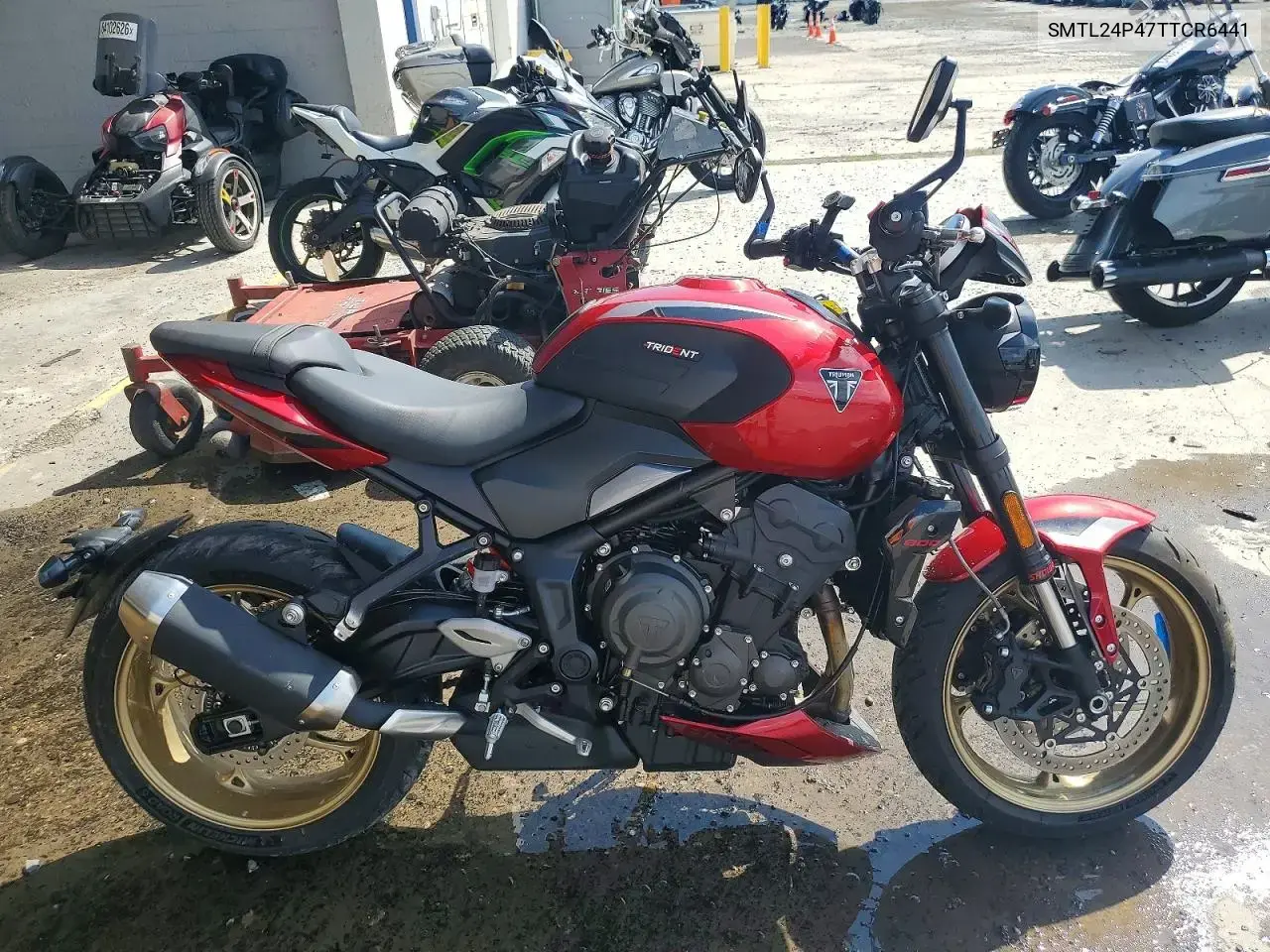2026 Triumph Motorcycle Trident 800