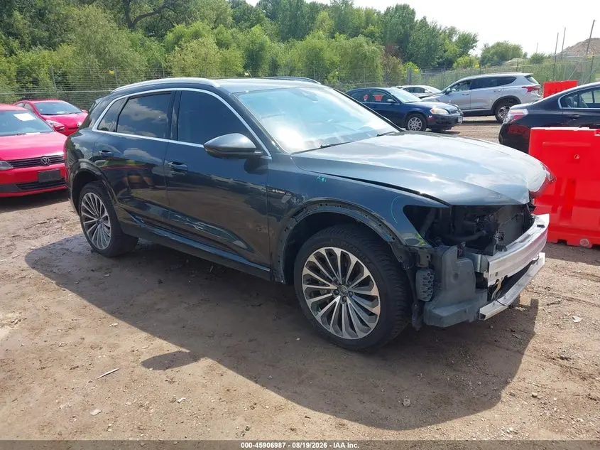 2019 Audi e-tron Premium Plus