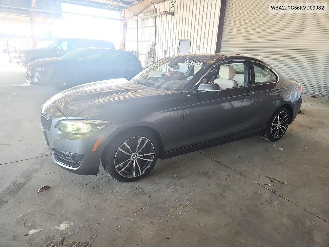 2019 BMW 230i
